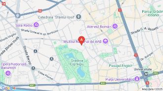 Apartament de vanzare 2 camere, zona Conservator Cismigiu, ultracentral