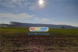 Teren latura Padure Snagov Ciofliceni 10000 mp utilitati