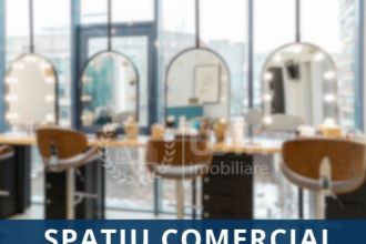 Spatiu comercial, 170 mp in Central
