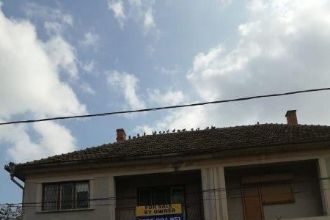 Birou, 260 mp in Central
