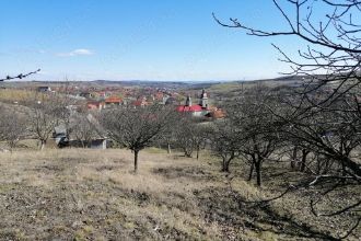Gradina 20 ari cu casa de vanzare, teren intravilan.