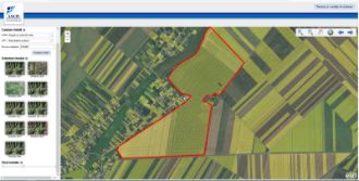 Teren Constructii intravilan de 1200000 mp, in Ileana
