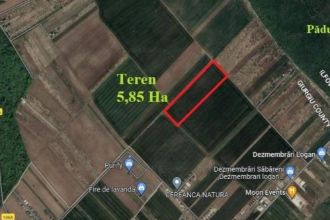 Sabareni, teren intravilan construibil 5,85 ha, intre 2 paduri