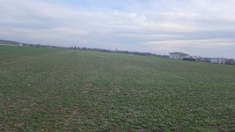Teren Constructii intravilan de 10000 mp, in Darza