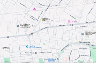 Spatiu comercial, 140 mp in Timisoara