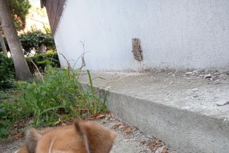 Inchiriez camera din ap. cu 2 camere in zona Dacia la o fata sau doua!Chirie 1000 lei+ intre?inerea