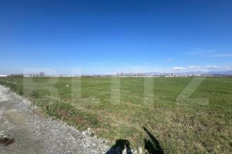 Teren de extravilan de vanzare, 8.650 mp, zona centura