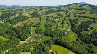 Teren agricol extravilan de 2900 mp, in Lisnau-Vale