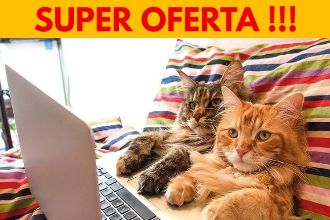 Rahova, Salaj, acces rapid Unirii, ocazie!