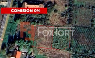 COMISION 0% Teren intravilan constructii, Beregsau Mare - zo