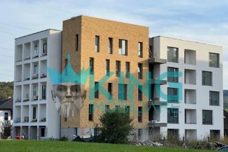Apartament de vanzare 2 camere la parter zona kaufland