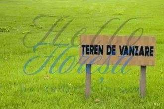 Teren intravilan, 1500 mp, Capusu Mare