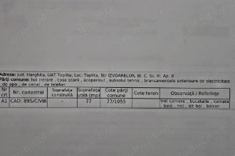 apartament 3 camere