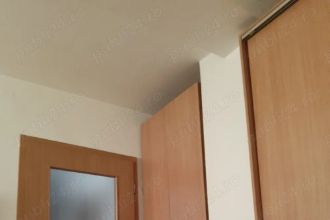 Need a Roommate