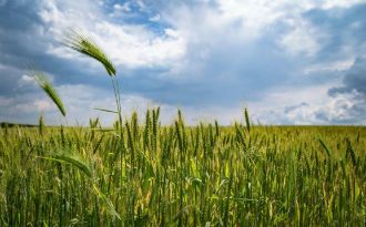 Vand 5 ha teren agricol extravilan - Ciochina, Ialomita