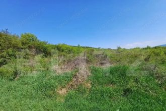 Teren intravilan de vanzare, 6200 mp, zona Viisoara, langa Metaller
