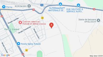 Vand casa cu teren 1900 mp in Fetesti