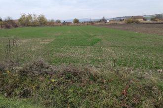 Teren Constructii intravilan de 5800 mp, in Ungheni