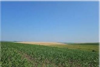 2 hectare de terenuri agricole in comuna Maldaeni din judetul Teleorman