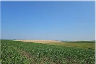 2 hectare de terenuri agricole in comuna Maldaeni din judetul Teleorman