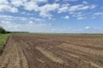 1,6 hectare de teren agricol in comuna Poeni din judetul Teleorman