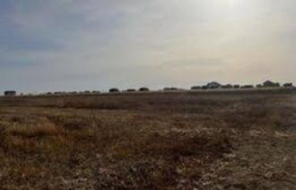 1,65 hectare de teren agricol in comuna Lunca din judetul Teleorman