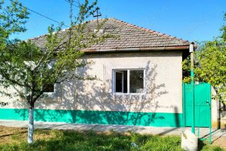 Vand casa Peregu Mic