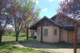 Casa si teren de vanzare 