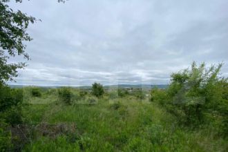 Teren 10.000mp Deschidere 52m Zona Manastirea Ceta?uia