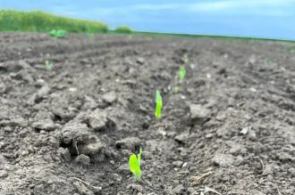 Arendez teren agricol