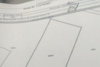 Teren Constructii intravilan de 600 mp, in Odoreu