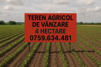 Teren agricol extravilan de 40000 mp, in Satu Nou